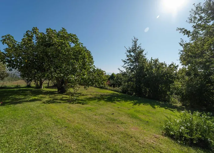 Bed and Breakfast Poggio delle Ginestre Orvieto